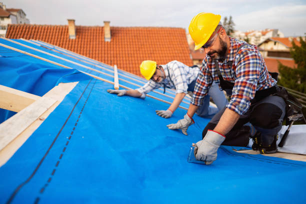 Emergency Roof Repair in Carlin, NV