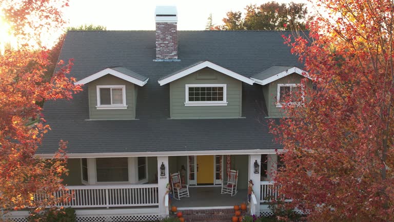Best Storm Damage Roof Repair  in Carlin, NV