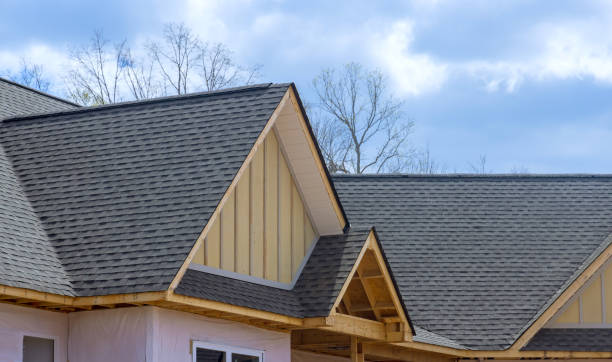 Trusted Carlin, NV Roofing Service Experts